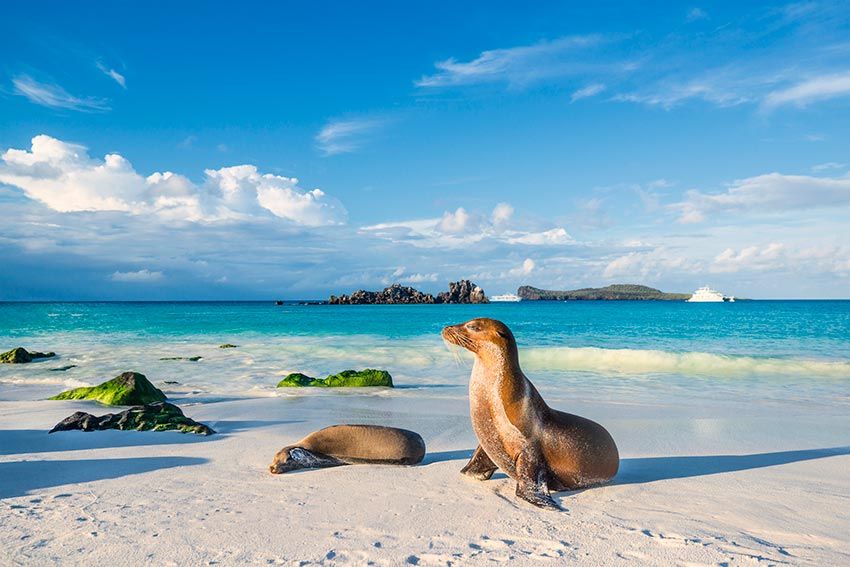 4 Day Galapagos Cruise Promotion